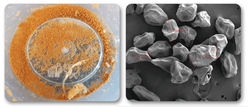 freeze dried microencapsulation particles