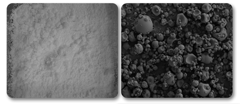 spray dried microencapsulation particles